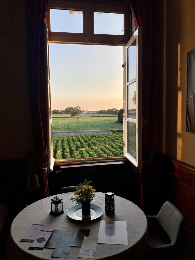 Hotel Particulier Chateau Des Marais Proximite Et Vue Sur Le Lac De Grand Lieu Saint-Philbert-de-Grand-Lieu Bagian luar foto